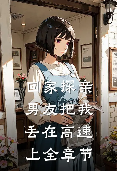 回家探亲，男友把我丢在高速上全章节