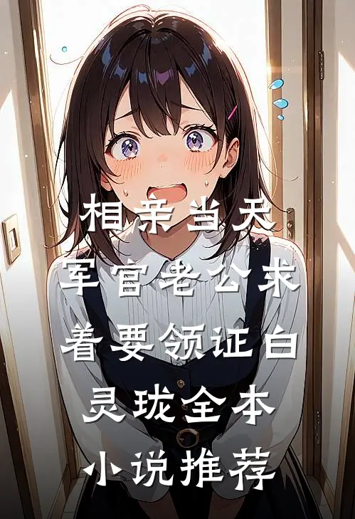 相亲当天,军官老公求着要领证白灵珑全本小说推荐