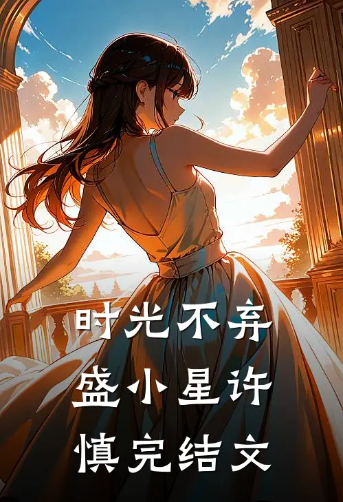 时光不弃盛小星许慎完结文