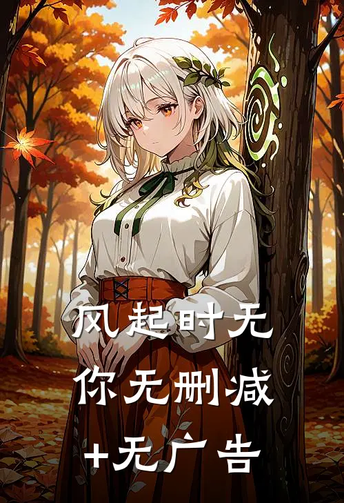 风起时无你无删减+无广告
