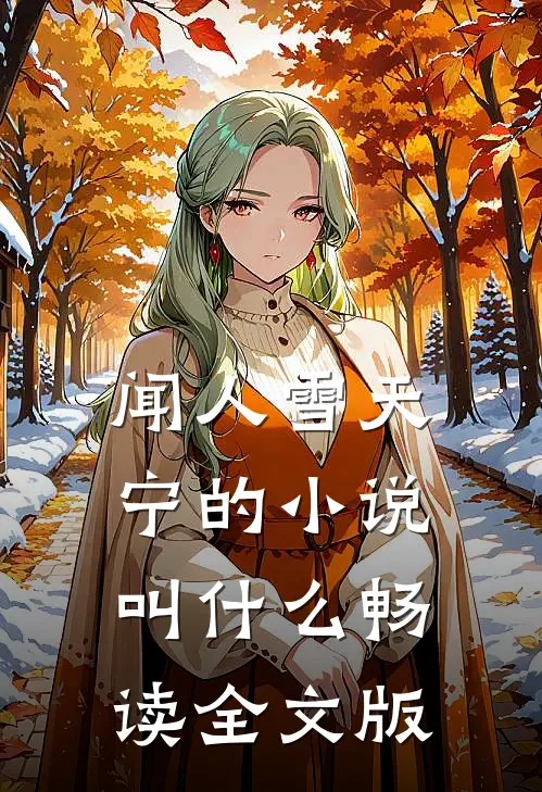 闻人雪天宁的小说叫什么畅读全文版