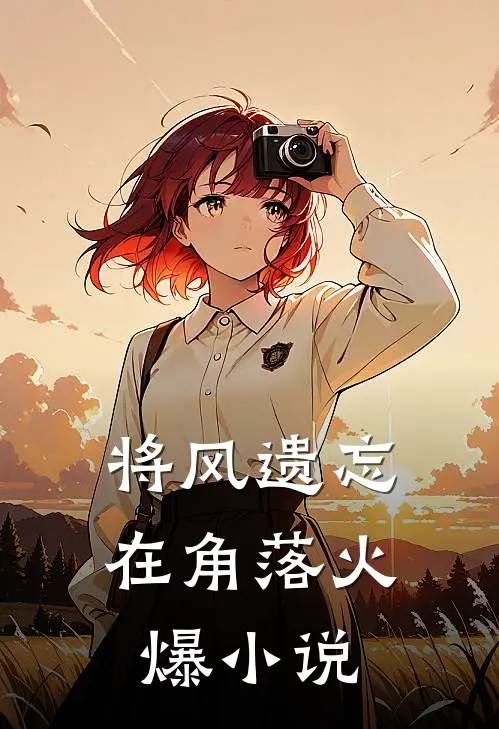 将风遗忘在角落火爆小说