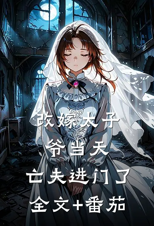 改嫁太子爷当天，亡夫进门了全文+番茄