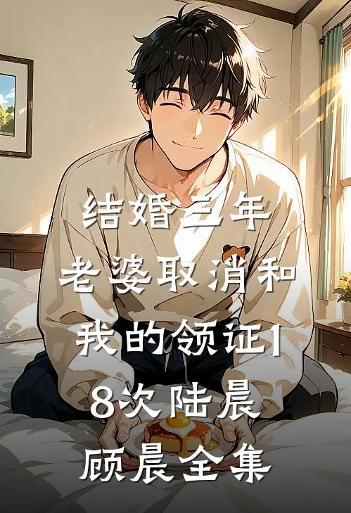 结婚三年，老婆取消和我的领证18次陆晨顾晨全集
