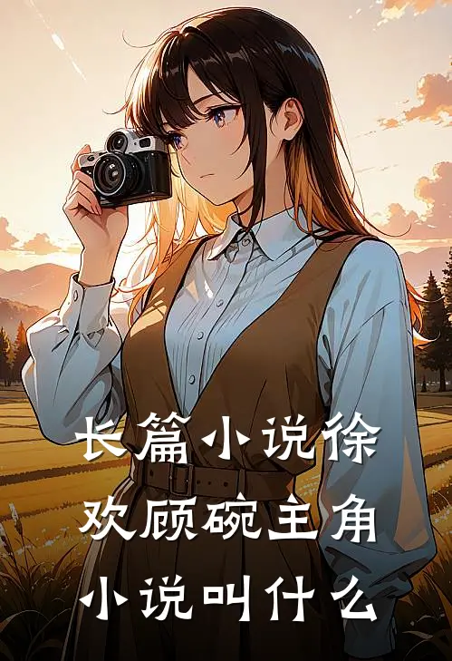 长篇小说徐欢顾碗主角小说叫什么