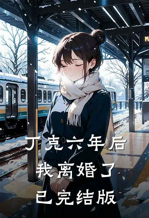 丁克六年后，我离婚了已完结版