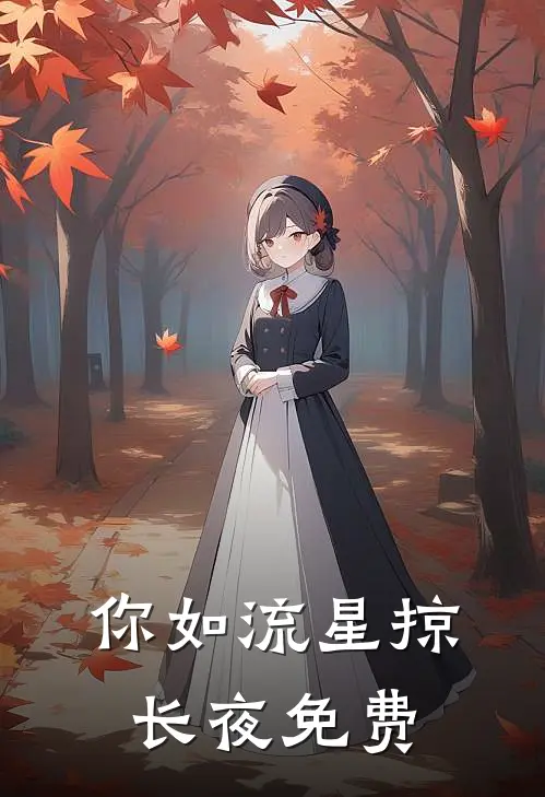 你如流星掠长夜免费
