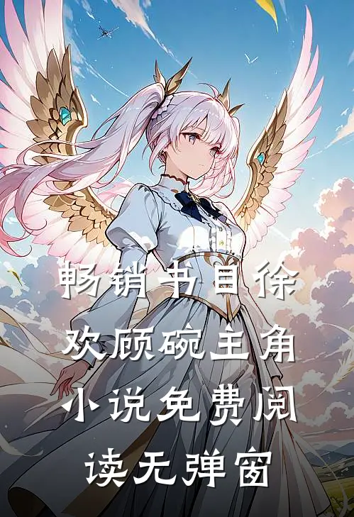 畅销书目徐欢顾碗主角小说免费阅读无弹窗