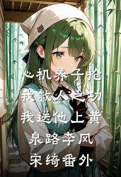 心机养子抢我救人之功，我送他上黄泉路李风宋绮 番外
