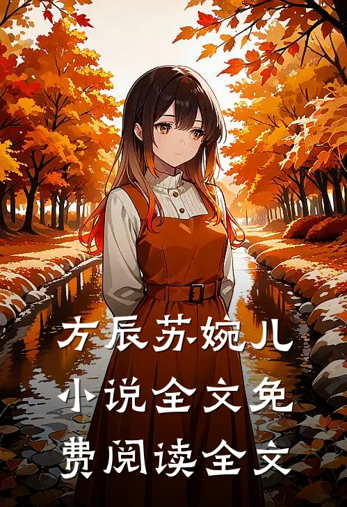 方辰苏婉儿小说全文免费阅读全文