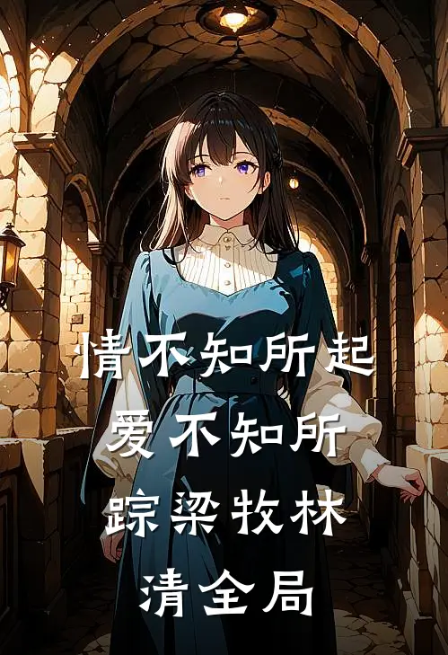 情不知所起，爱不知所踪梁牧林清全局