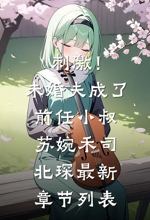 刺激！未婚夫成了前任小叔苏婉禾司北琛最新章节列表