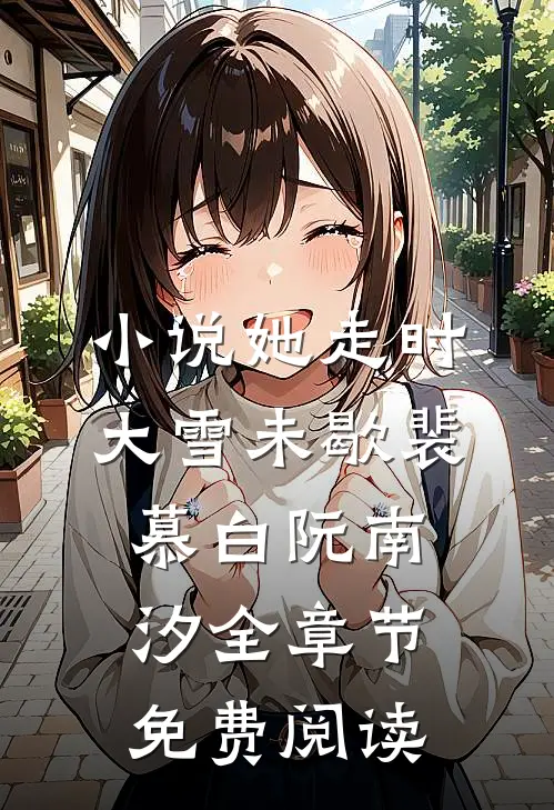 小说她走时大雪未歇裴慕白阮南汐全章节免费阅读