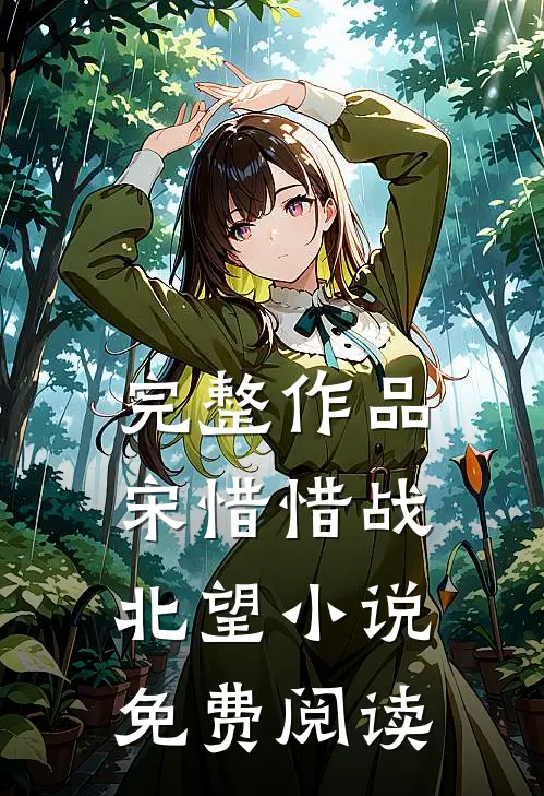 完整作品宋惜惜战北望小说免费阅读
