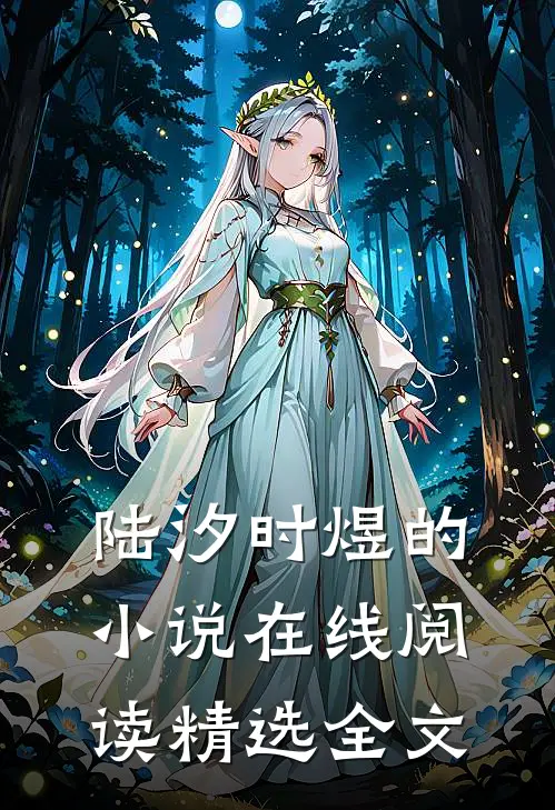 陆汐时煜的小说在线阅读精选全文