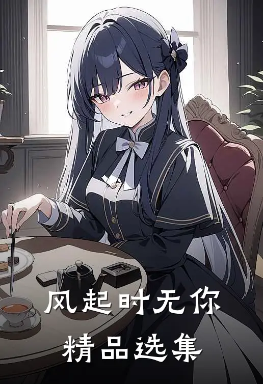 风起时无你精品选集