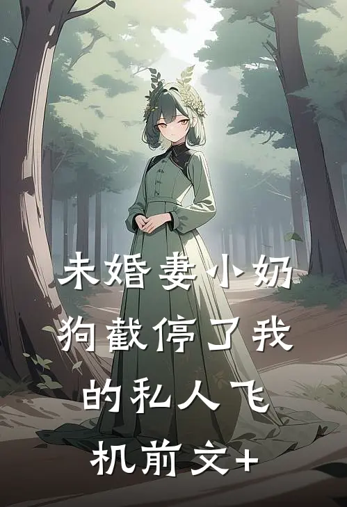未婚妻小奶狗截停了我的私人飞机前文+