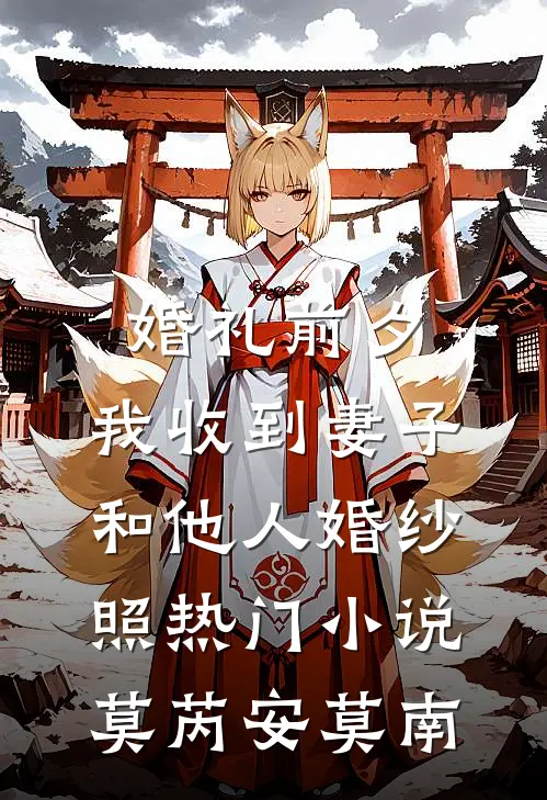 婚礼前夕，我收到妻子和他人婚纱照热门小说莫芮安莫南