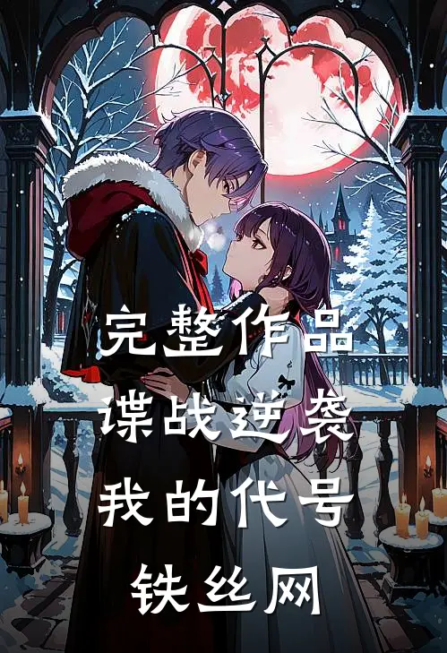 完整作品谍战逆袭：我的代号铁丝网
