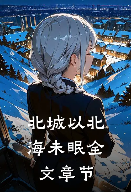 北城以北海未眠全文章节