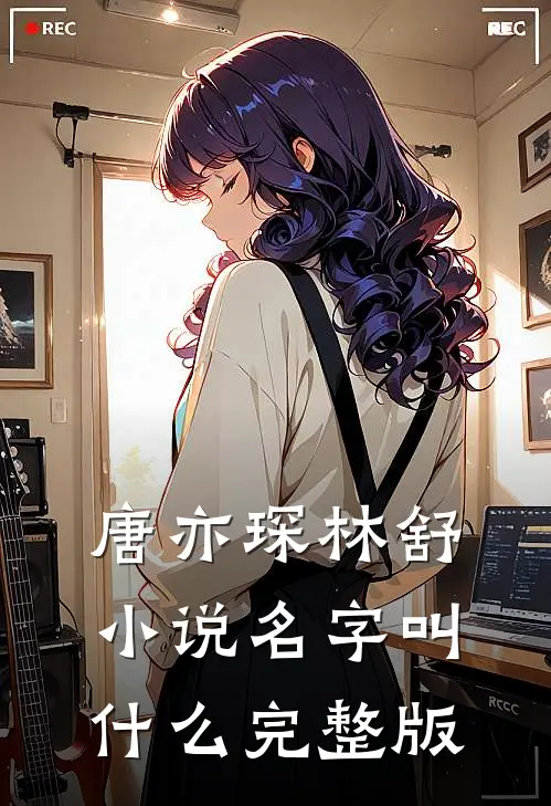 唐亦琛林舒小说名字叫什么完整版