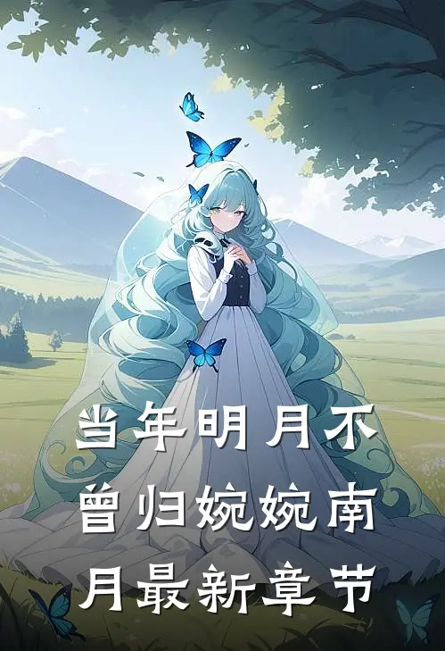 当年明月不曾归婉婉南月最新章节
