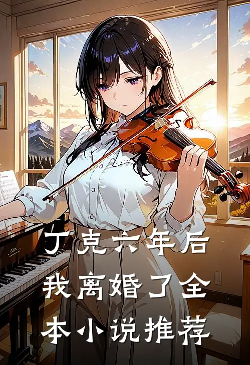 丁克六年后，我离婚了全本小说推荐