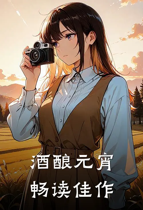 酒酿元宵畅读佳作