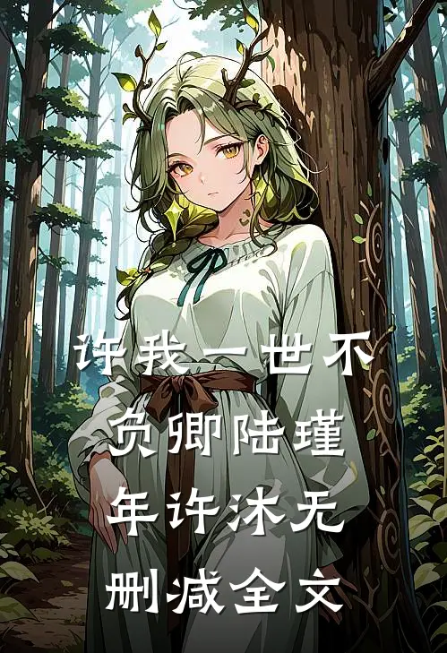 许我一世不负卿陆瑾年许沐无删减全文
