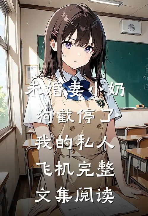 未婚妻小奶狗截停了我的私人飞机完整文集阅读
