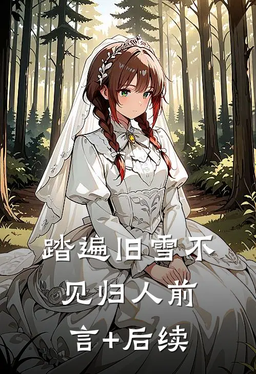 踏遍旧雪不见归人前言+后续