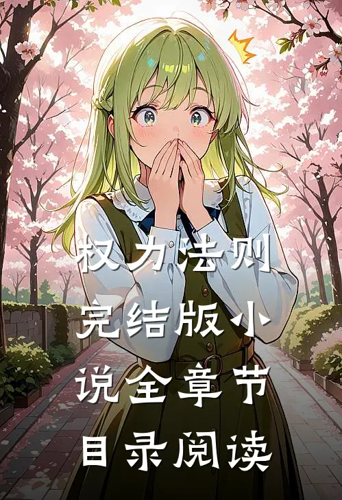权力法则完结版小说全章节目录阅读