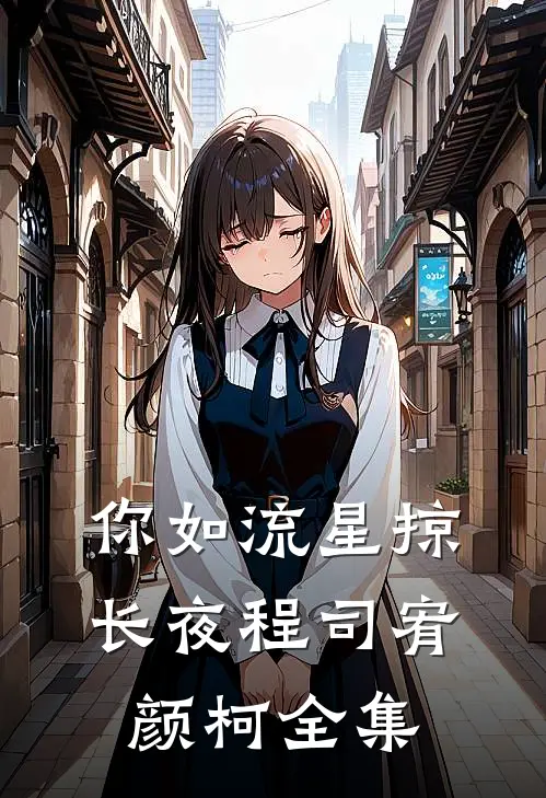 你如流星掠长夜程司宥颜柯全集