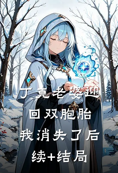 丁克老婆迎回双胞胎，我消失了后续+结局