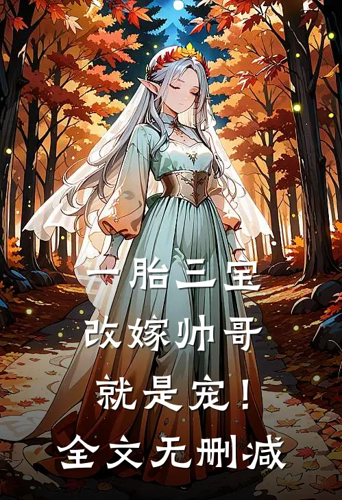 一胎三宝，改嫁帅哥就是宠！全文无删减