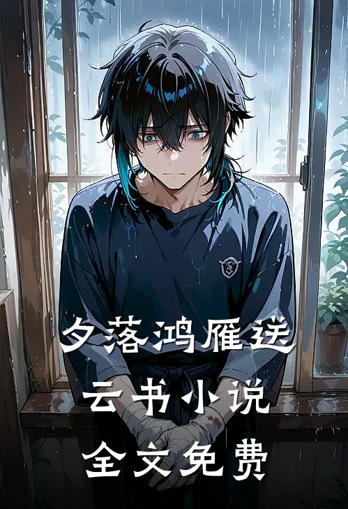 夕落鸿雁送云书小说全文免费