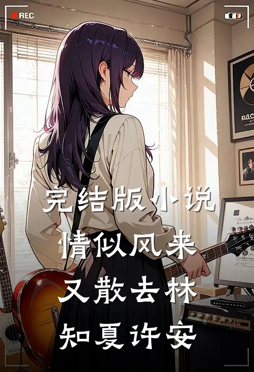 完结版小说情似风来又散去林知夏许安