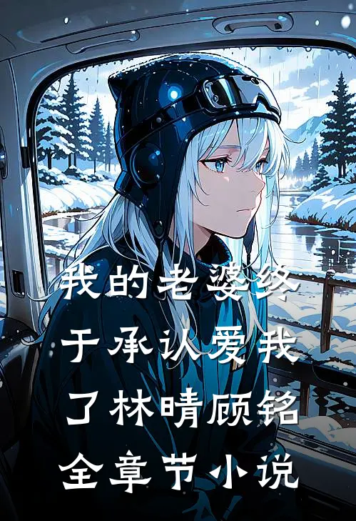 我的老婆终于承认爱我了林晴顾铭全章节小说