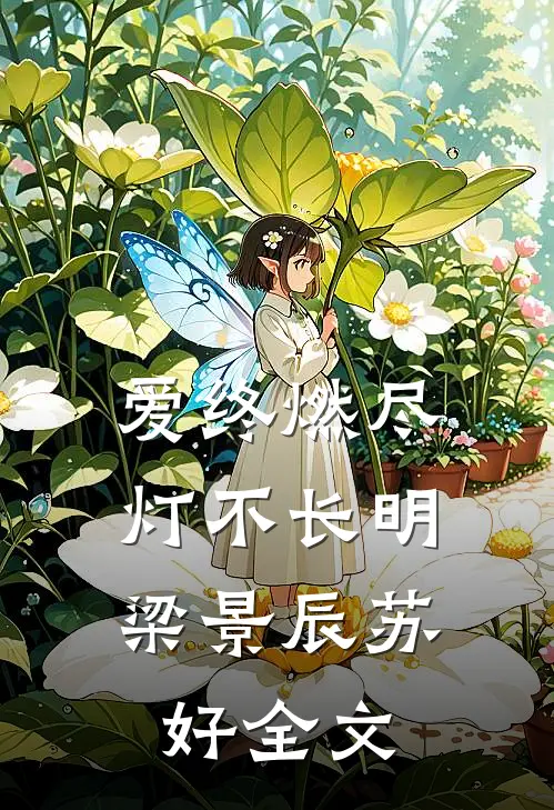 爱终燃尽，灯不长明梁景辰苏好全文
