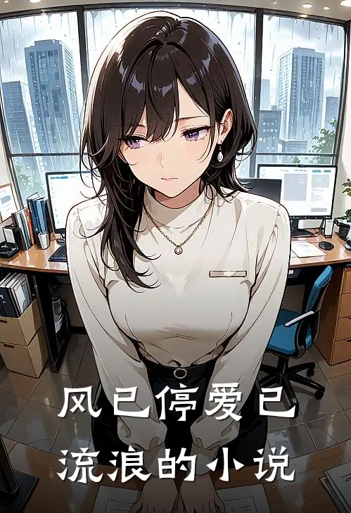 风已停爱已流浪的小说