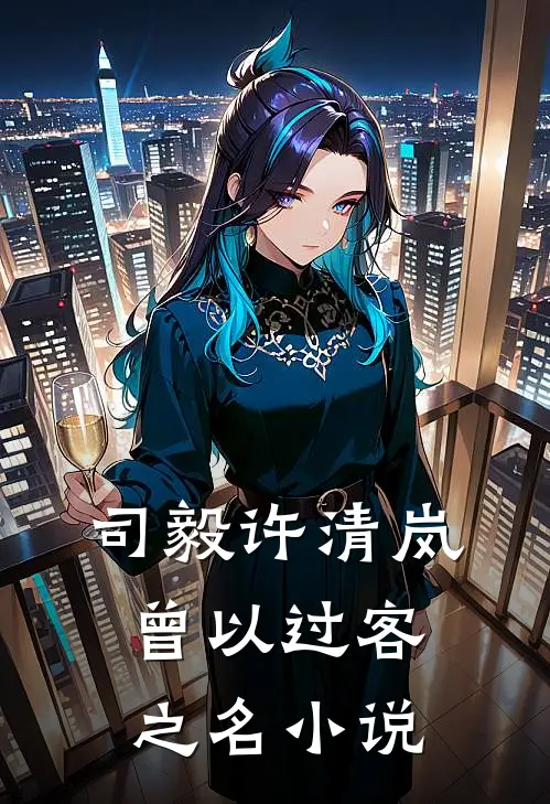 司毅许清岚曾以过客之名小说