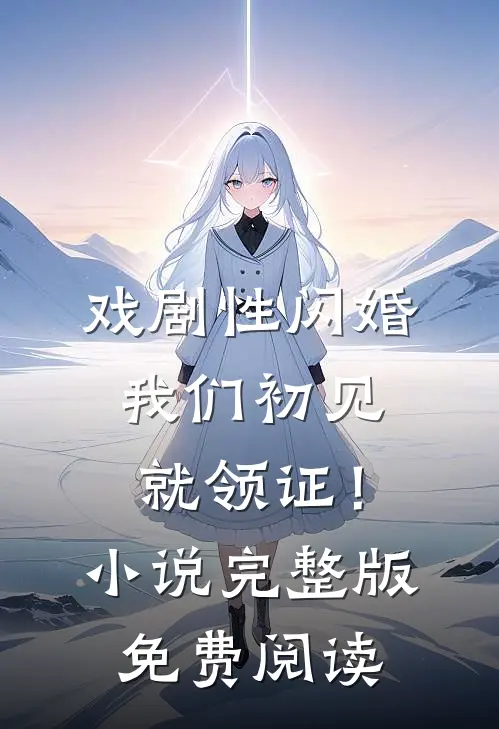 戏剧性闪婚，我们初见就领证！小说完整版免费阅读