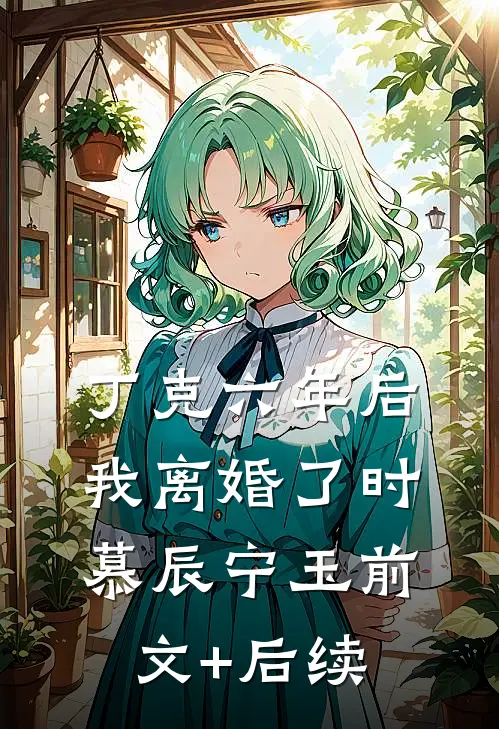 丁克六年后，我离婚了时慕辰宁玉前文+后续