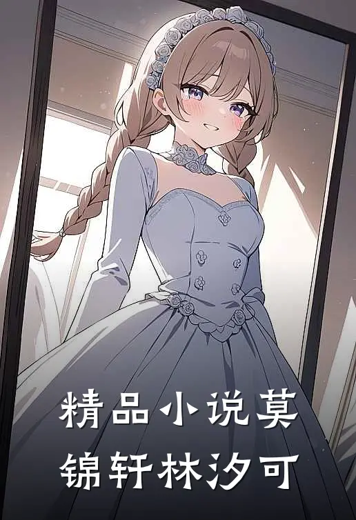 精品小说莫锦轩林汐可