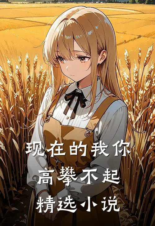 现在的我你高攀不起精选小说