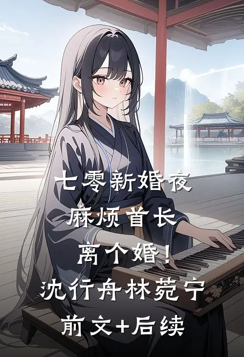 七零新婚夜，麻烦首长离个婚！沈行舟林菀宁前文+后续