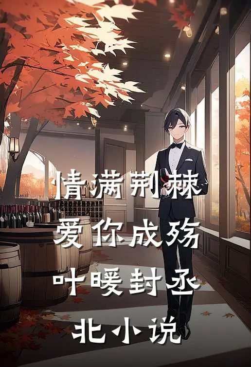 情满荆棘，爱你成殇叶暖封丞北小说