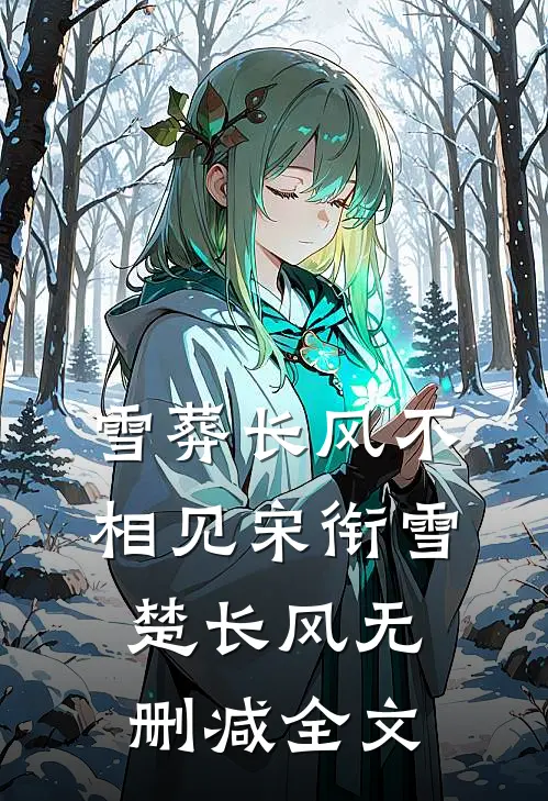 雪葬长风不相见宋衔雪楚长风无删减全文