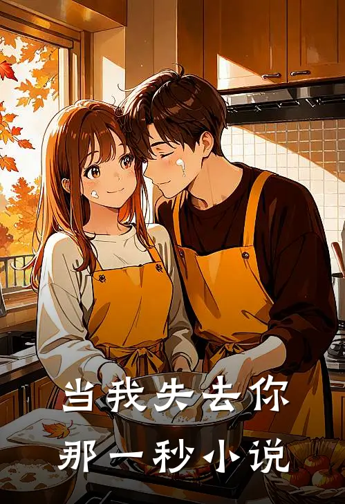 当我失去你那一秒小说