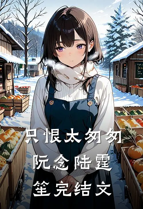 只恨太匆匆阮念陆霆笙完结文